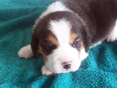 Martina Boy 1 Front 2 weeks